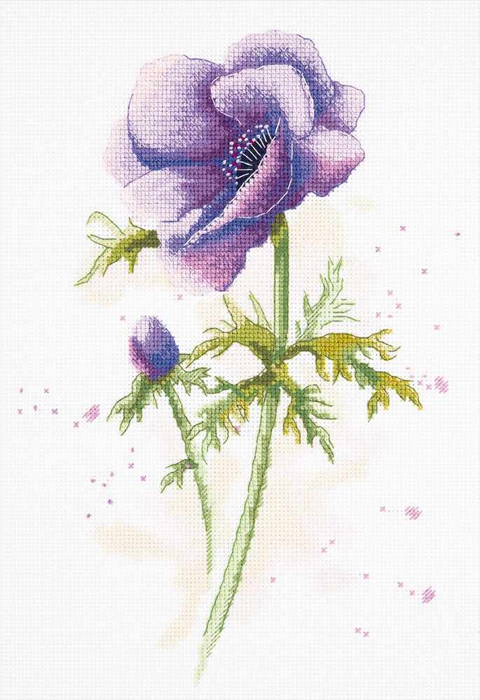 Anemone